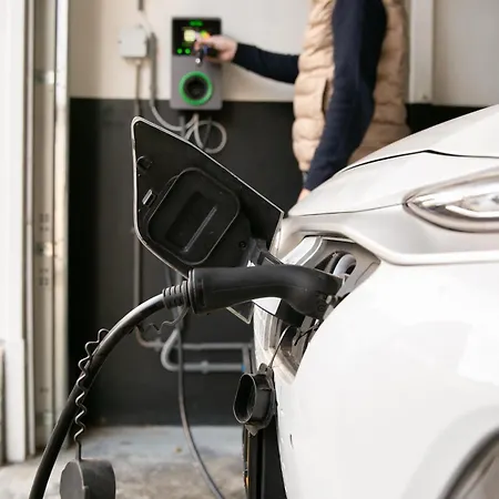 브레이트너 로테르담