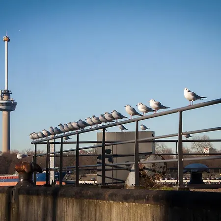 Hotel Breitner Rotterdam