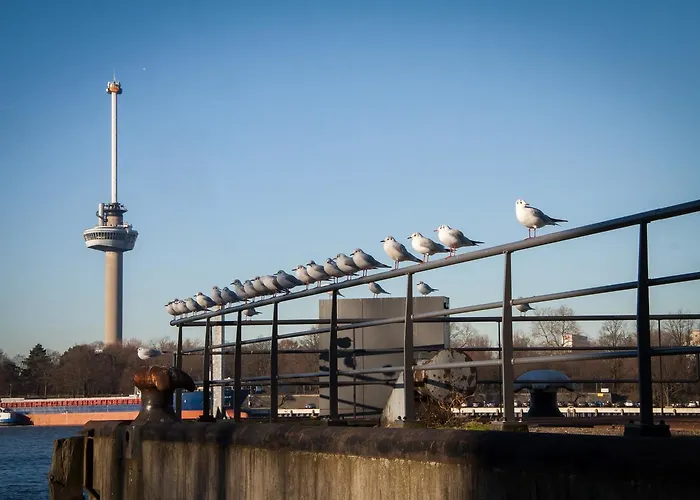 酒店 布雷特内尔酒店 鹿特丹